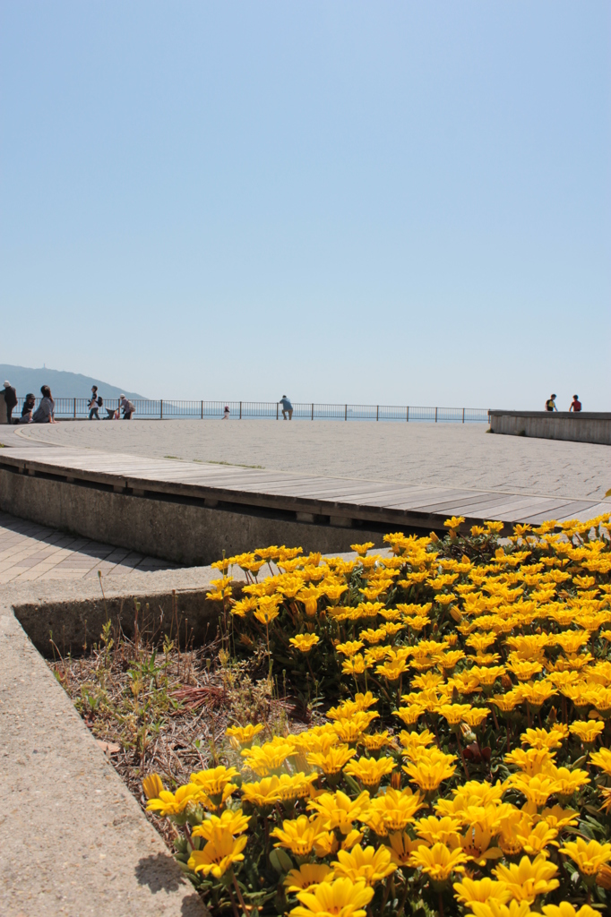 明石海峡大橋_ふもと
