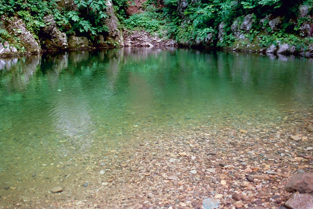 白神山地_水辺