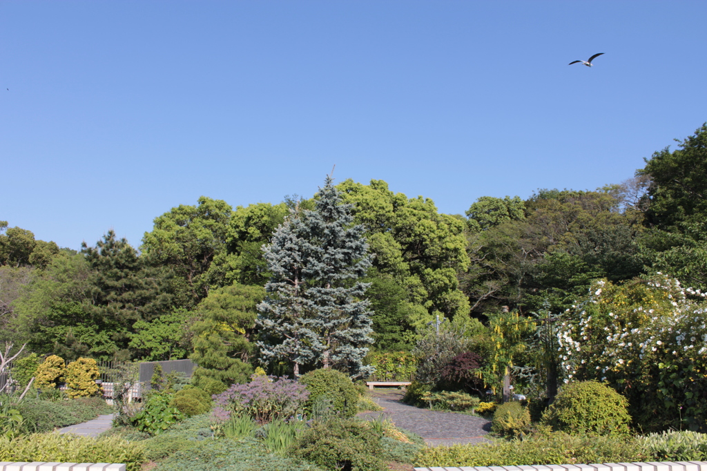 明石城公園