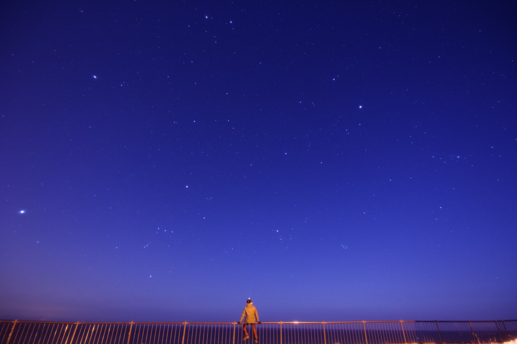冬の星座たち