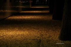 夜道２