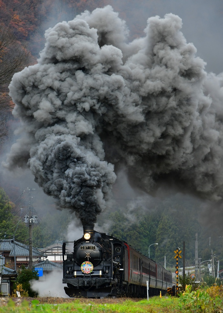 Christmas Train 2019