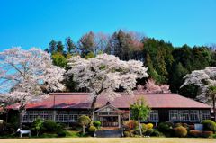 旧上岡小学校の春。