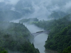 豪雨の後・・・