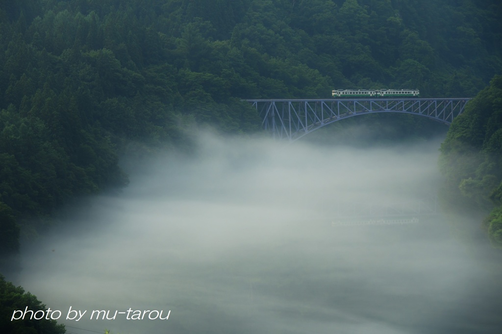 夏の川