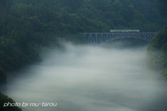 夏の川