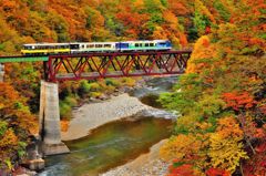 会津鉄道、第三大川橋梁の秋。