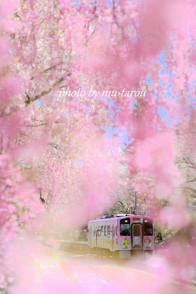 また来年・・・