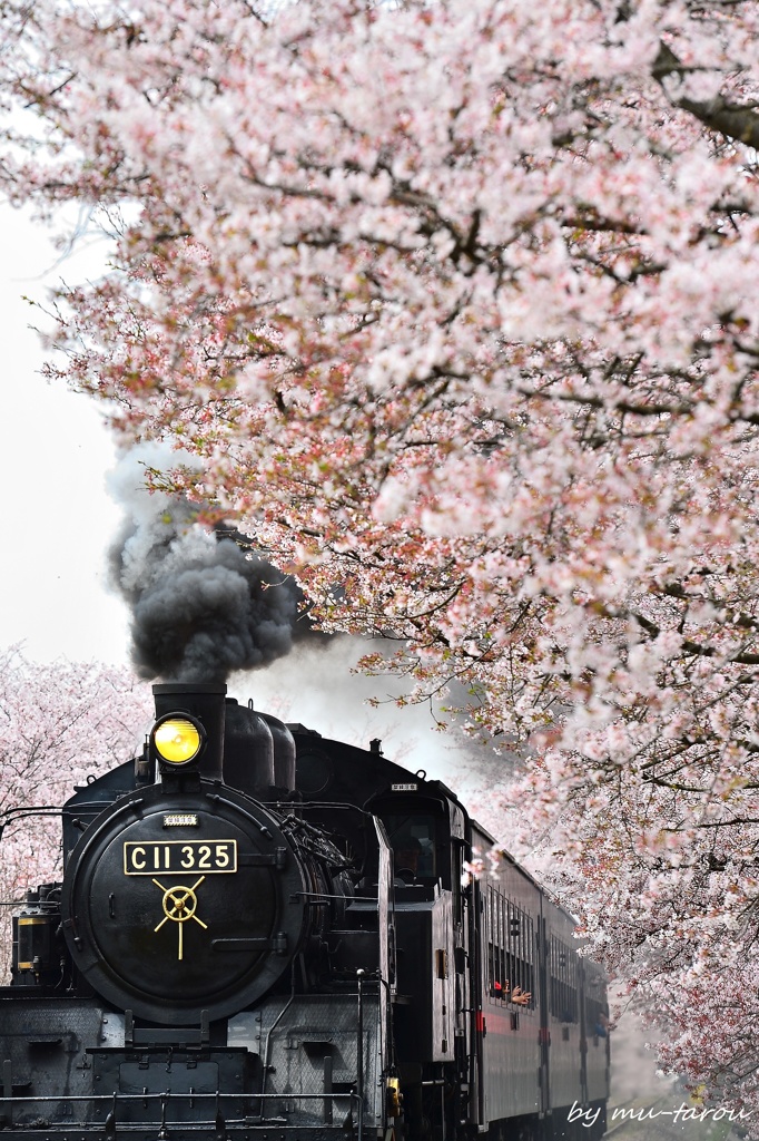 花走