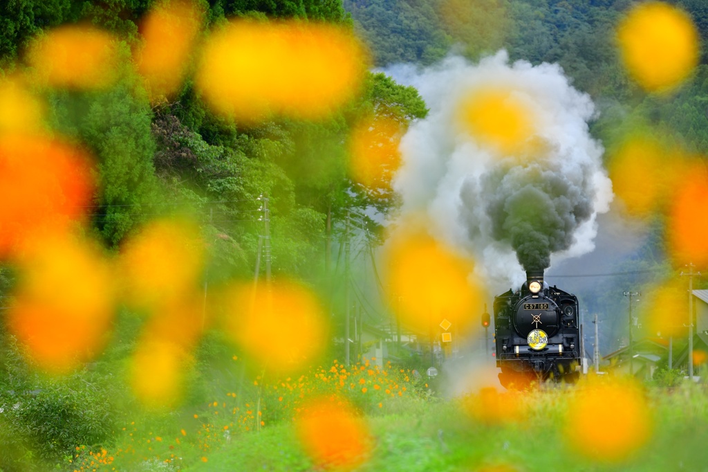 秋をはじめよう