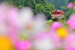 お花、お花、お花