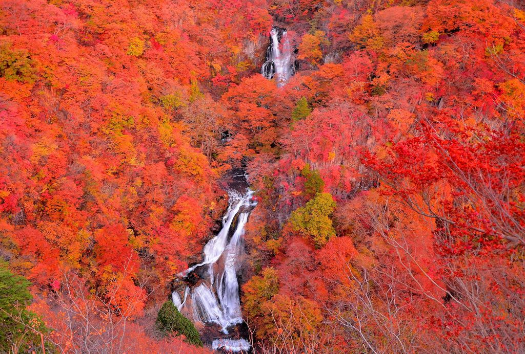 「紅」、霧降の滝。2013/11/09