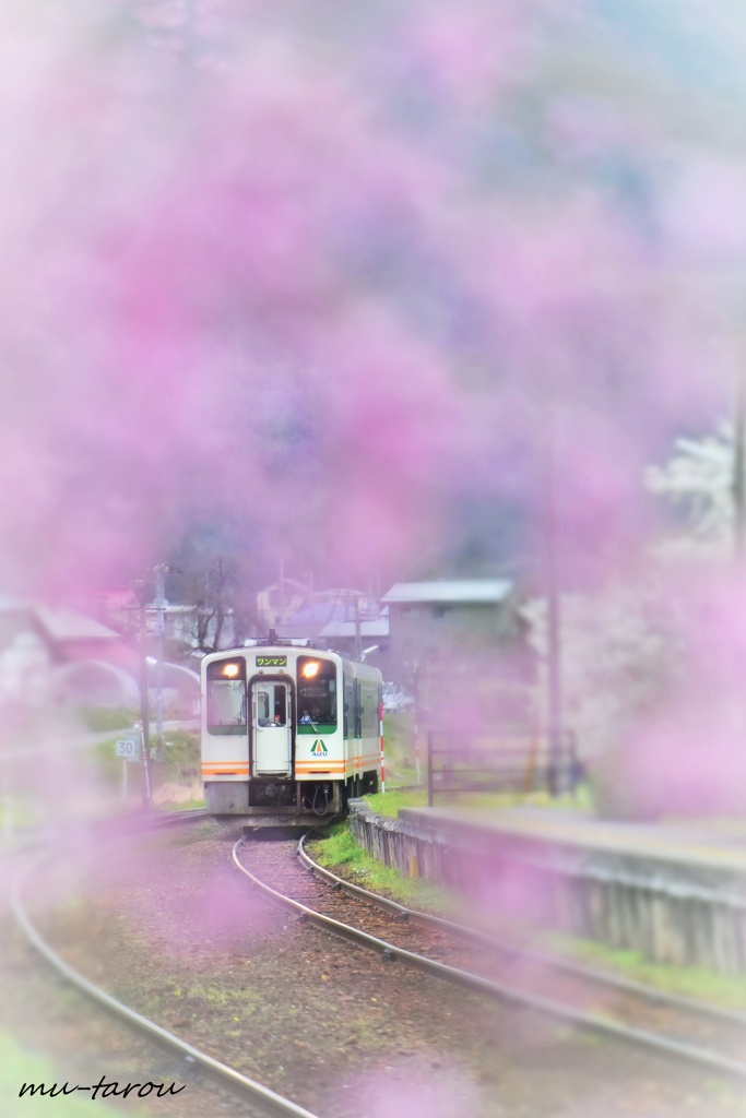 夢の中で…