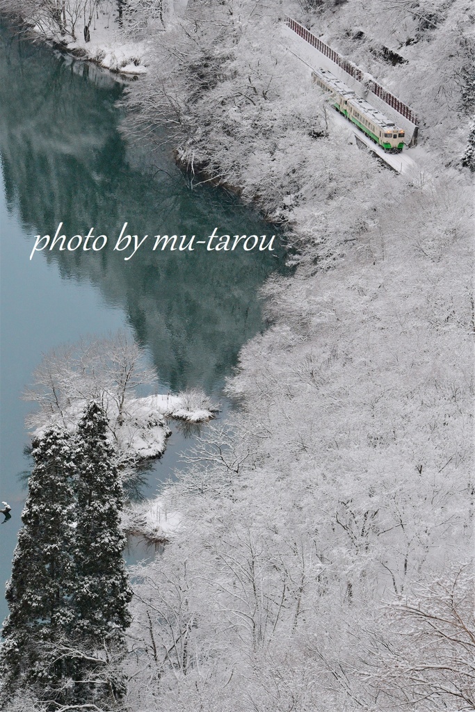 白い花園
