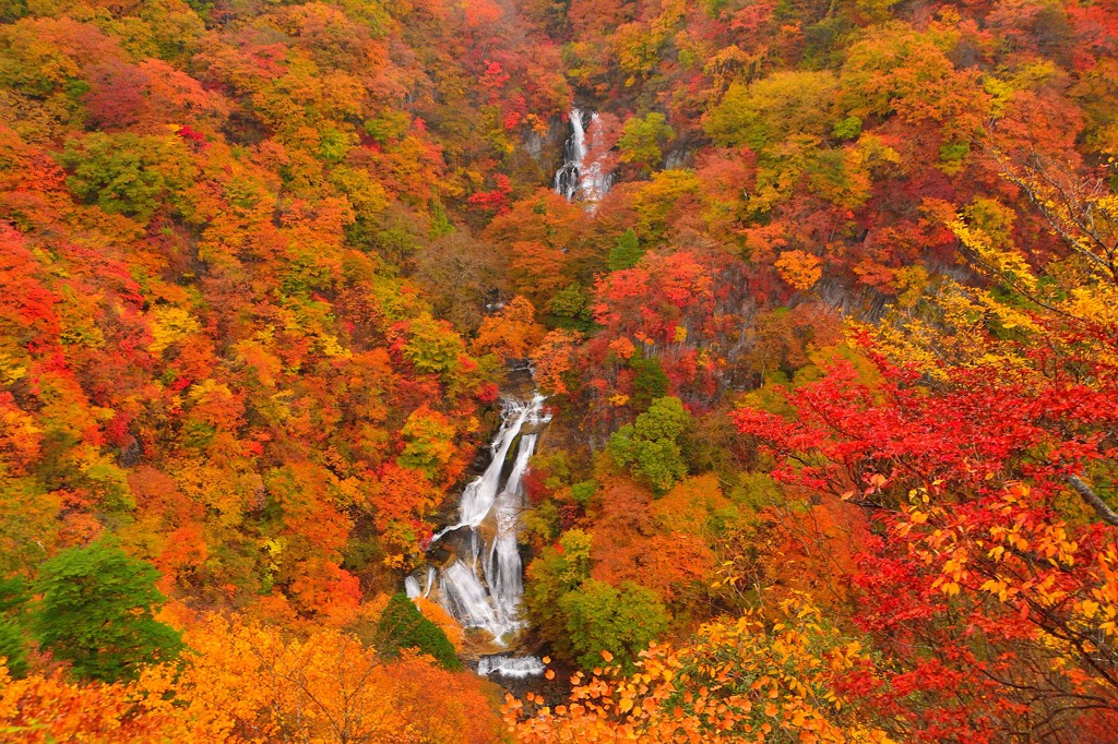 霧降の滝、紅の巻