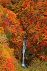極彩色の滝