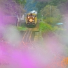 おとぎの国のトロッコ列車