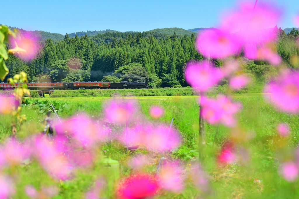 晴天、初秋山野