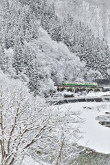 雪華満開、眼鏡橋　縦version