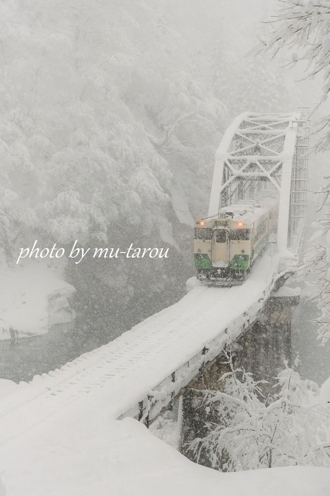 豪々しい雪