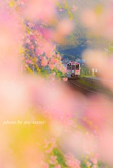 pink in pink