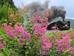 花蒸機～さるすべり編