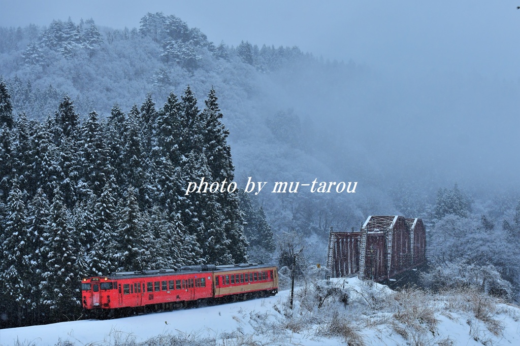 雪中タラ急