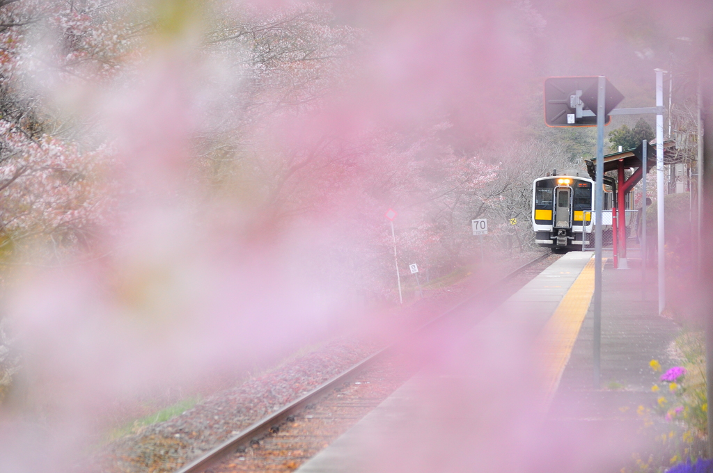 矢祭山、泡沫の夢