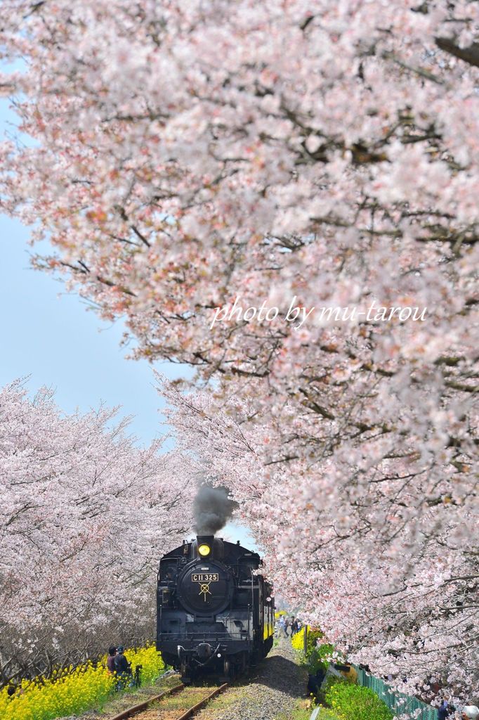 天下二景