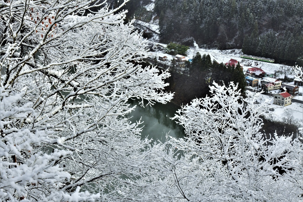 大きな大きな雪印