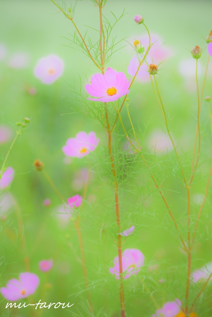 秋感