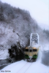 snow river & snow train