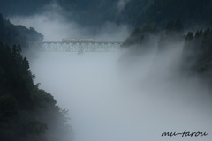 大峡谷を往く