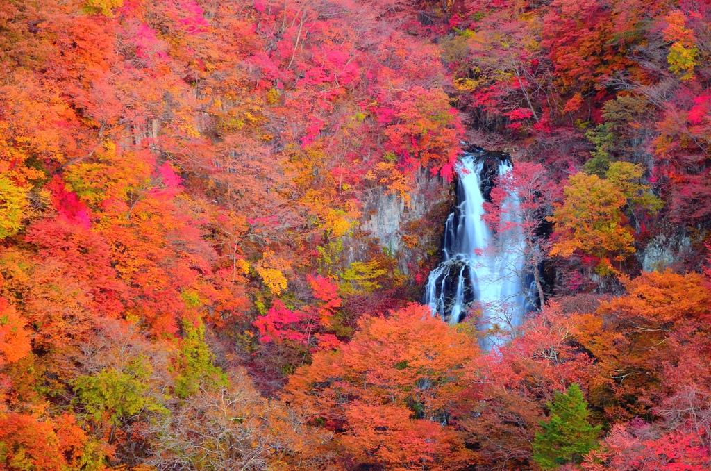豪華絢爛、「紅」の滝。