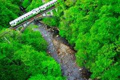 只見線、緑の大谷川橋梁。