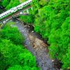 只見線、緑の大谷川橋梁。