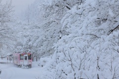 雪に映えるピンクの車両、それが会津鉄道　早朝編