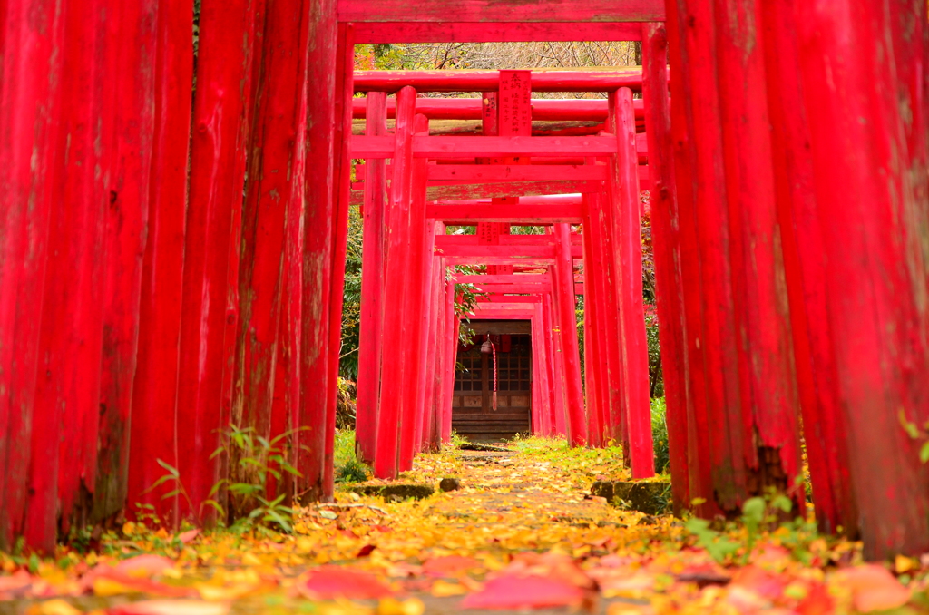 ある稲荷神社。