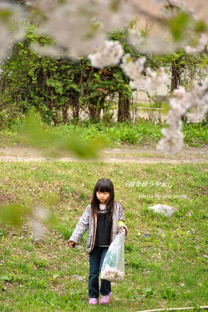 桜を拾う少女