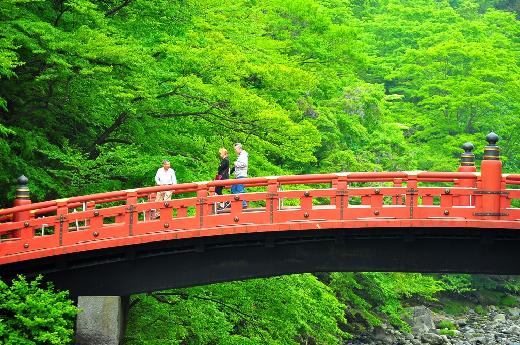 神橋、新緑。