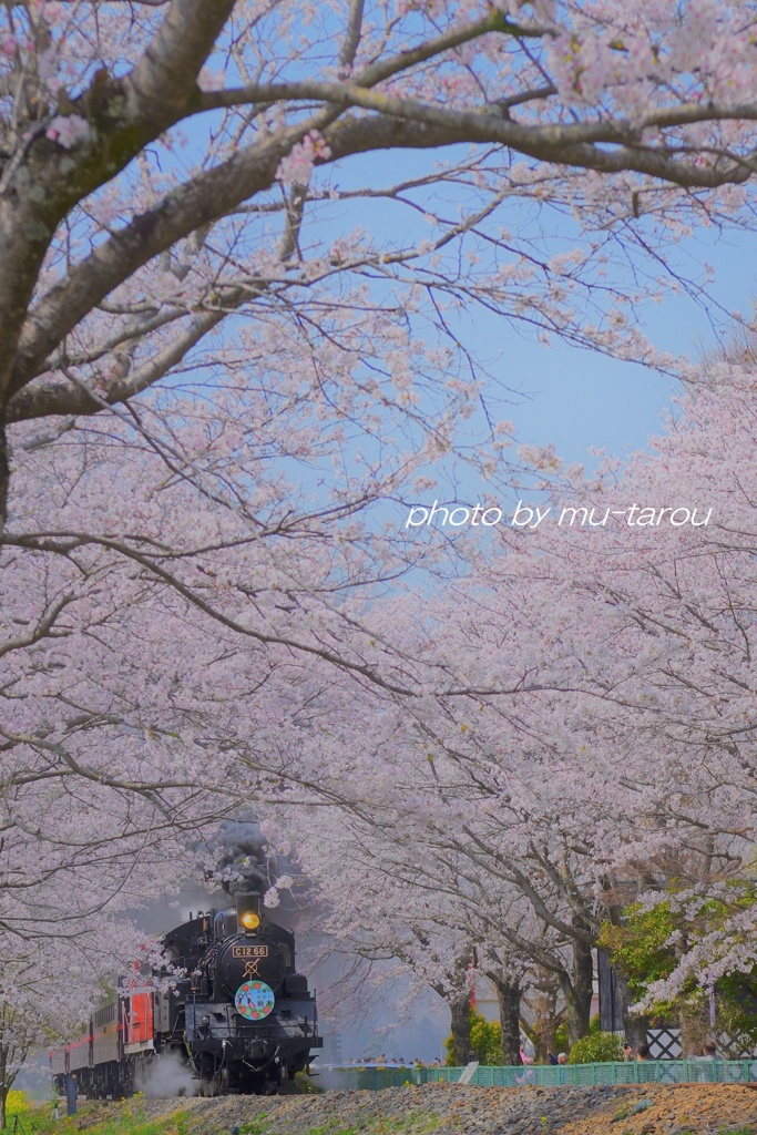 春風