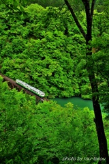 All Green part2