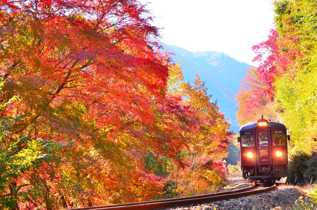 「紅」に染まる、あずき色。