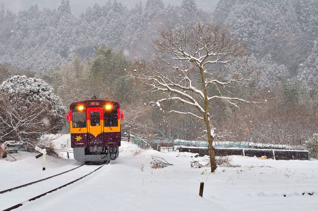 雪のわっしー号。