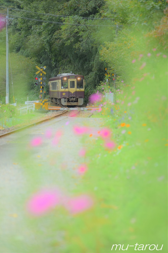 その優しさが、上神梅