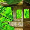 灯篭  with  green