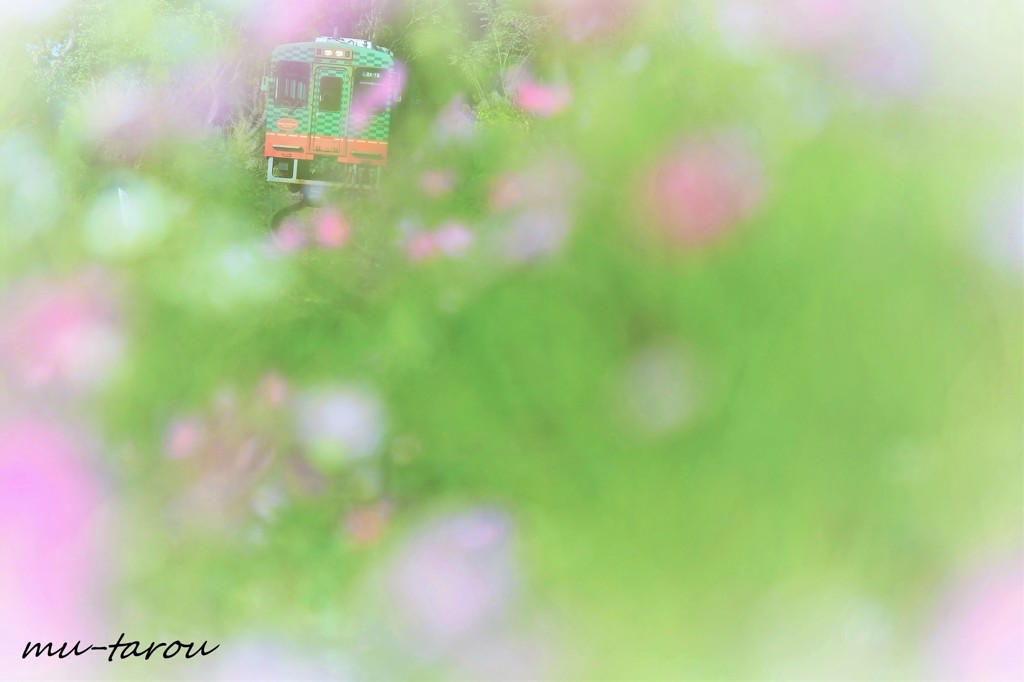 初恋列車
