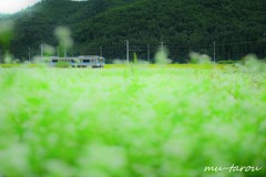 一睡の夢