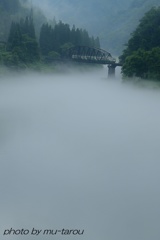 白い絨毯