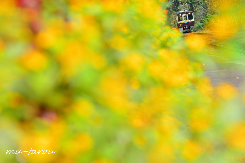 Yellow World part2